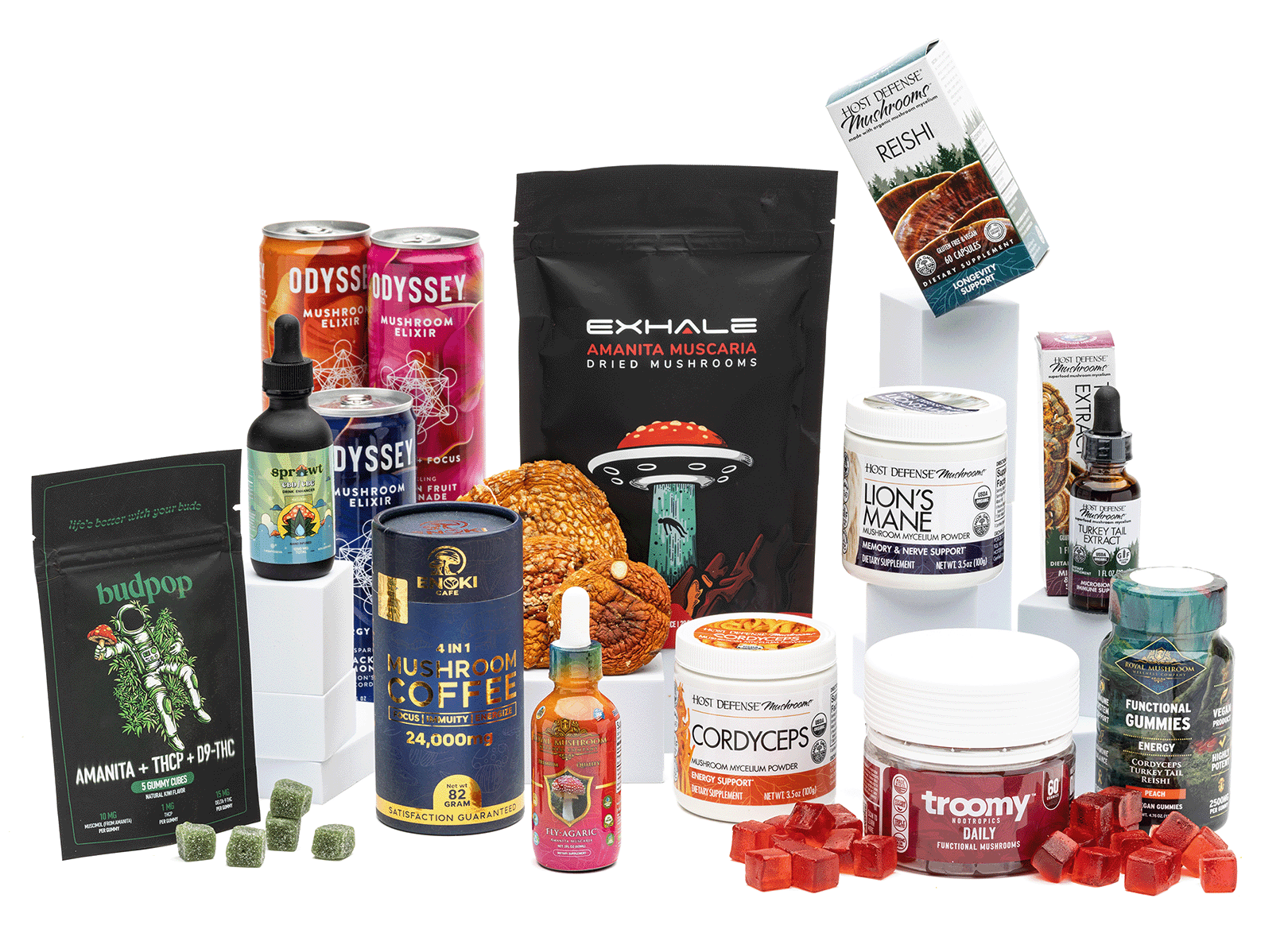 Shop All Product