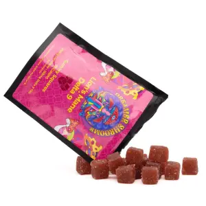 Dreamer Shrooms - Lion's Mane + Delta 9 Gummy Squares - 15 Count - Combo