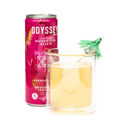 Odyssey Mushroom Energy + Focus Elixir - Dragon Fruit Lemonade - Product