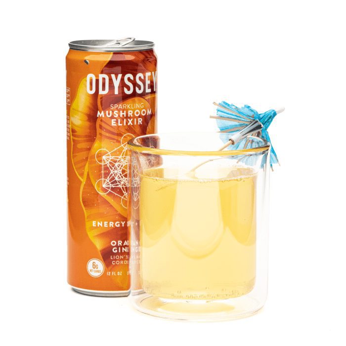Odyssey Mushroom Energy + Focus Elixir - Orange Ginger - Product