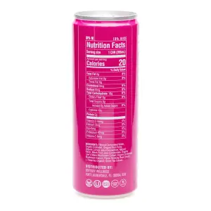 Odyssey Mushroom Focus + Energy Elixir - Sparkling Dragon Fruit Lemonade (4 Pack) - Can Back