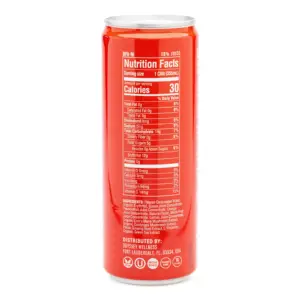 Odyssey Mushroom Focus + Energy Elixir - Sparkling Passion Fruit, Orange And Guava (4 Pack) - Can Back