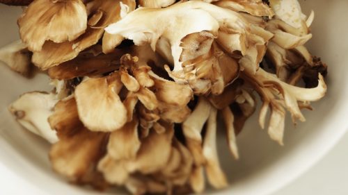 Maitake Mushrooms