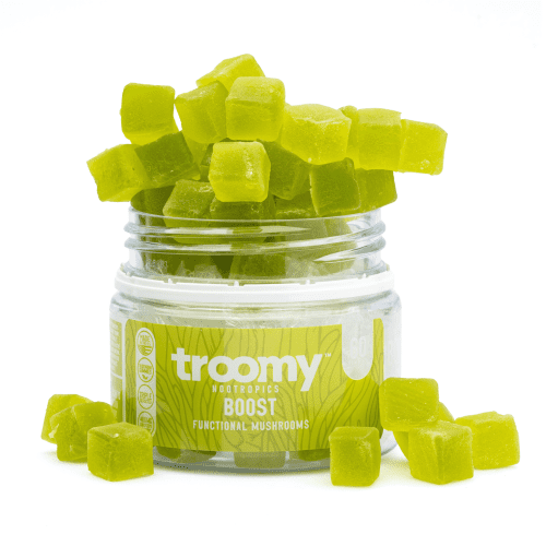 Troomy Nootropics Boost Cordyceps Mushroom Gummies - combo