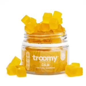 Troomy Nootropics Calm Reishi Mushroom Gummies - combo