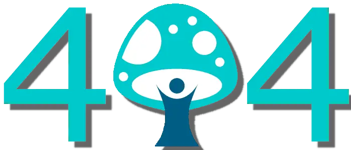 404 Page image