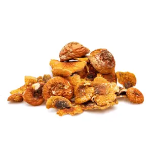 Budpop Amanita Muscaria Dried Mushrooms (28 grams) - Pile
