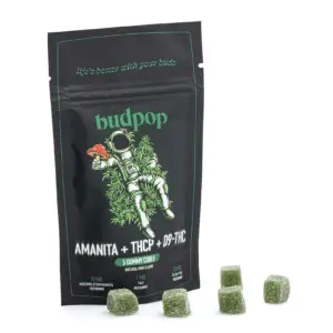 Budpop Amanita Muscaria Mushroom + THCP + Delta 9 Gummies (5 Count) - Combo