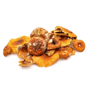Cheef Botanicals Amanita Muscaria Dried Mushrooms (28 grams) - Pile