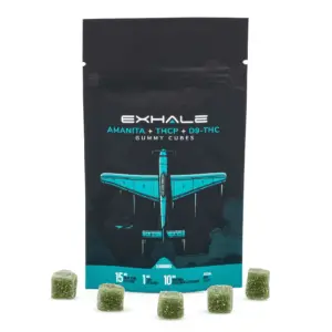 Exhale Amanita Muscaria Mushroom + THCP + Delta 9 Gummies (5 Count) - Combo