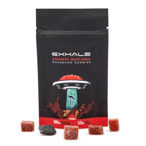 Exhale Amanita Muscaria Mushroom Gummies (5 Count) - Combo