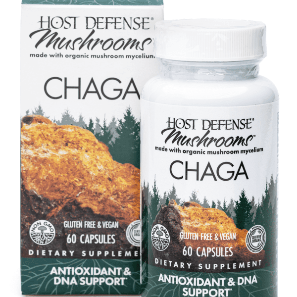 chaga capsules and box