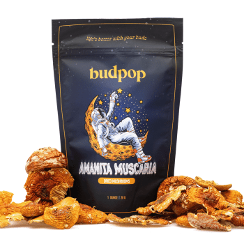 Dried Amanita Muscaria mushrooms from Budpop