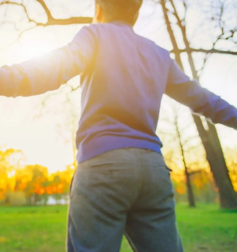 Try Funtional Mushrooms and Feel Better