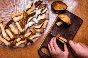 hands cutting and drying mushrooms