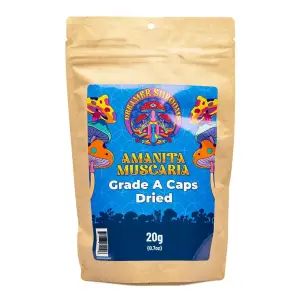 Dreamer Shrooms Amanita Muscaria Dried Mushrooms (20 grams) - bag front