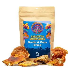 Dreamer Shrooms Amanita Muscaria Dried Mushrooms (20 grams) - combo
