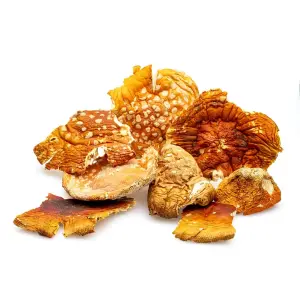 Dreamer Shrooms Amanita Muscaria Dried Mushrooms (20 grams) - pile