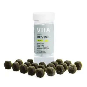 Viia CBD and CBG Revive Relief Gummies - THC Free - Combo
