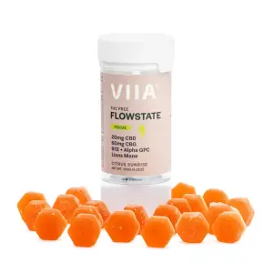 Viia CBG and CBD Flowstate Focus Gummies - THC Free - Combo